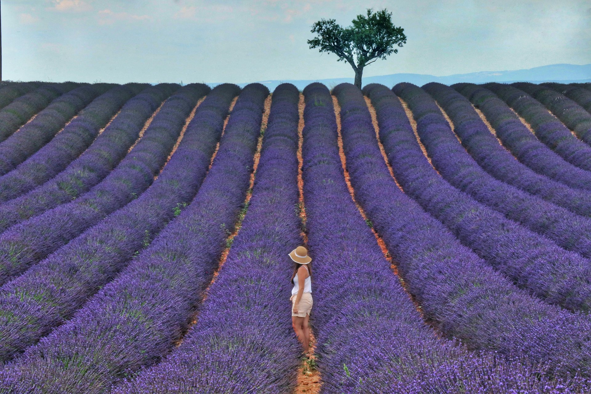 woman in white shirt and brown skirt standing on purple flower field during daytime